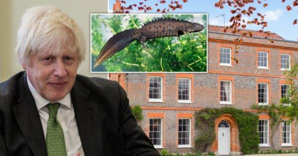boris johnson newts