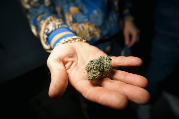 Housing Works Cannabis Co received up to 1,000 unique visitors on busy days.