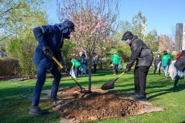 Al Roker and Bill Nye plant a tree.