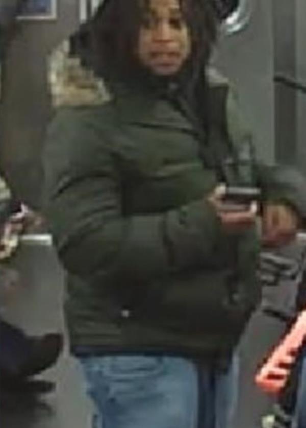 Alexander Villafana, 20, was arrested for shooting two people in a subway car 