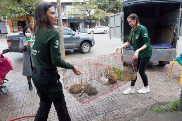 Humane Society Internatio<em></em>nal workers helped evacuate the rescued cats.