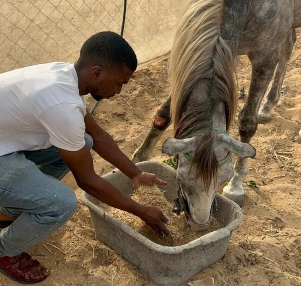 WEEKEND: Gaza animal rescue efforts Sulala Animal Rescue
