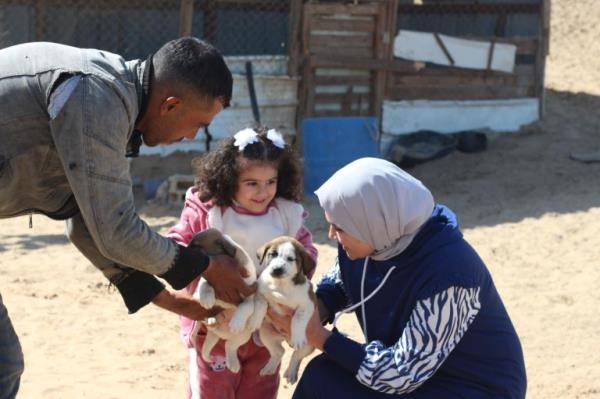 WEEKEND: Gaza animal rescue efforts Sulala Animal Rescue