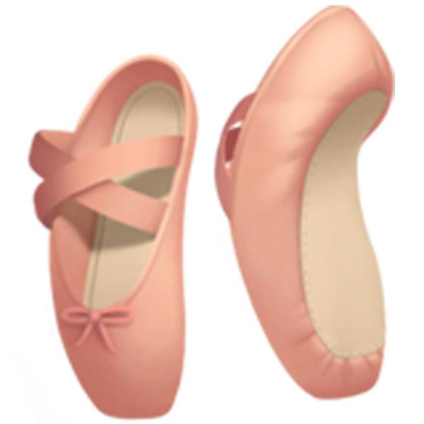 Ballet Shoes</p>

<p>　　Shoes worn by ballet dancers for pointe work..