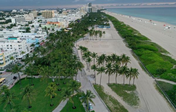 Aerial view of Miami Beach showcasing palm trees along Ocean Drive, before transition to leafy trees to combat climate change.