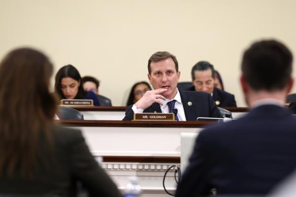 Rep. Dan Goldman (D-NY) questions witnesses during a roundtable discussion on Supreme Court Ethics co<em></em>nducted by Democrats of the House Oversight and Accountability Committee at the Rayburn House Office Building on June 11, 2024 in Washington, DC.