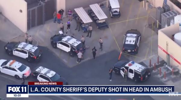 Police are pictured at the scene of the fatal shooting.