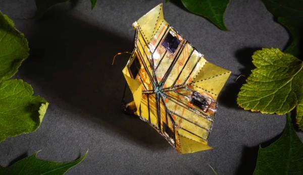 Microfliers use an origami folding pattern, inspired by tree leaves, to change how they move through the air.