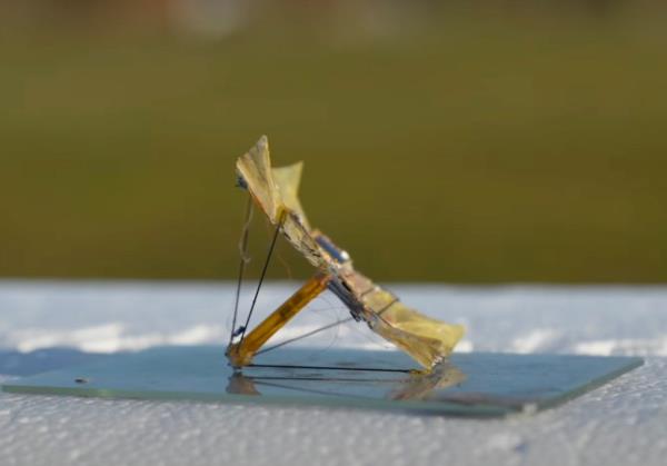 The solar-powered microfliers are a<em></em>bout the size of a postage stamp and weigh less than a small nail.