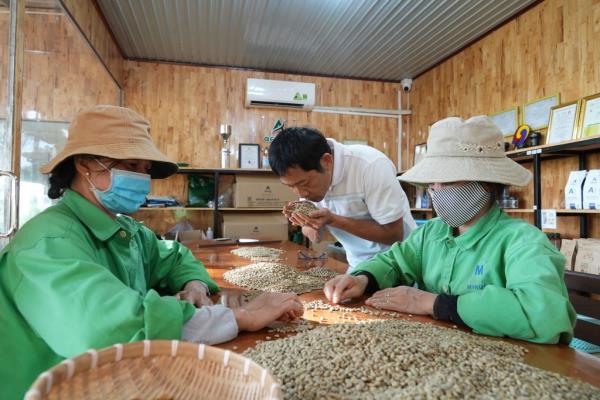 Workers sorting and grading coffee beans at a factory in Dak Lak province, Vietnam, in respo<em></em>nse to new European Unio<em></em>n rules aimed at stopping deforestation