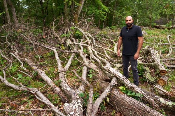 Samih Shinway at the spot wher<em></em>e his neighbor cut down more than a dozen trees