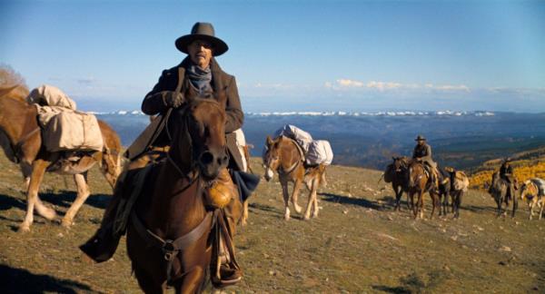 Kevin Costner in 
