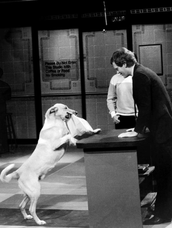 David Letterman smiling at a dog. 