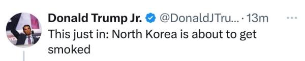 do<em></em>nald trump jr twitter hacked