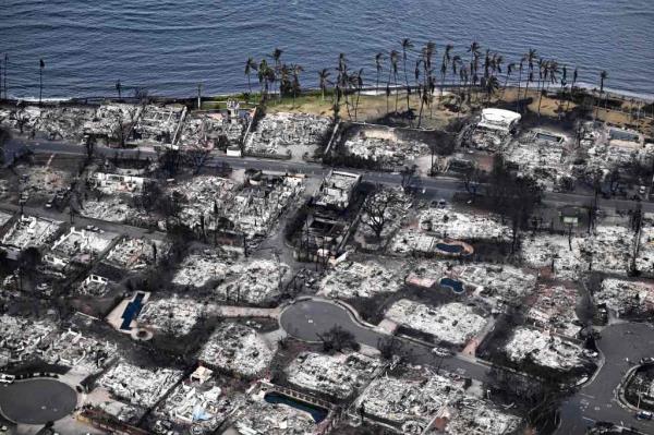 A neighborhood destroyed by the deadly wildfires.