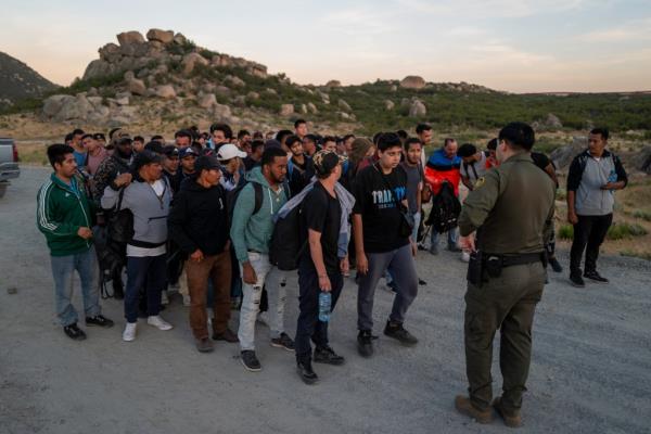 A lone Border Patrol agent stands in front of dozens of single adult male migrants.