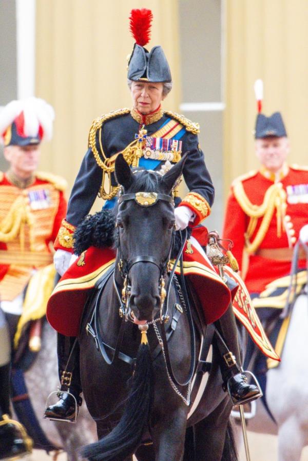 Princess Anne now deals with temporary memory loss.