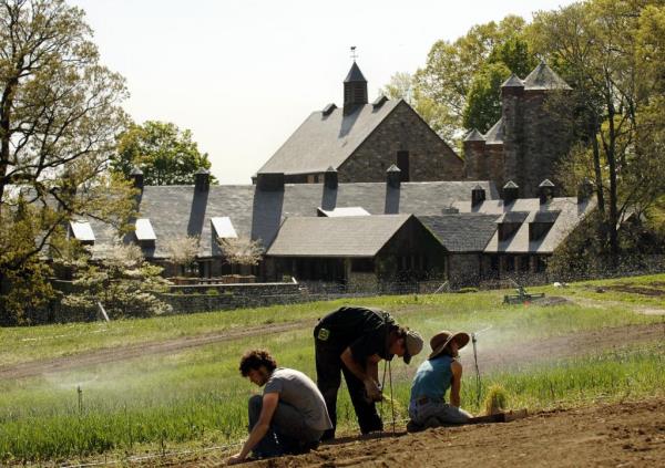Bret Schneider, Robert Mills, and Laura Perkins planting o<em></em>nions in a field at Stone Barns Center for Food and Agriculture, Pocantico Hills, New York