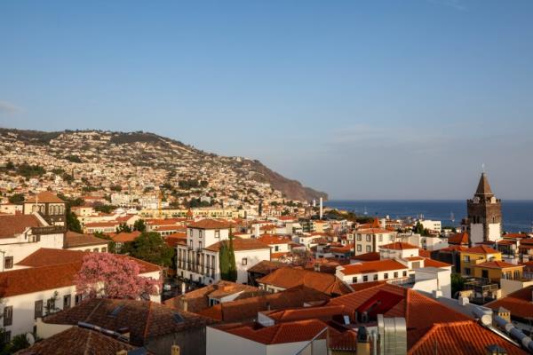 rooftops in Madeira