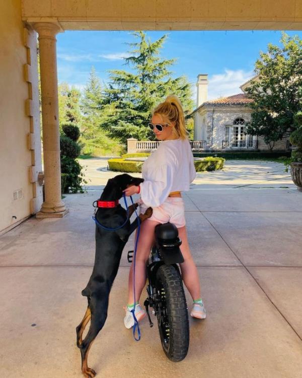 11791647-NEWS Britney Spears warned by animal co<em></em>ntrol after Doberman named 'Porsha' trained to protect her from 'any motherf****r with bad intentions' escaped $X million California home and bit elderly man