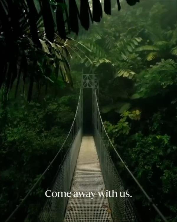 I'm A Celebrity teaser