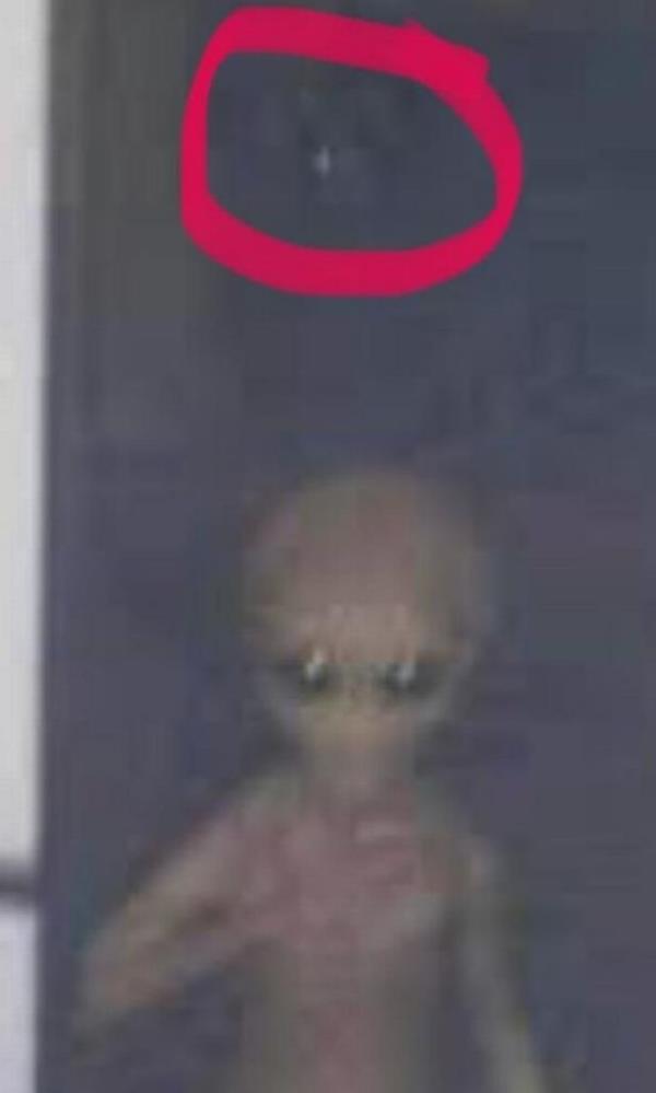 The spoon bender claimed the being looks pregnant