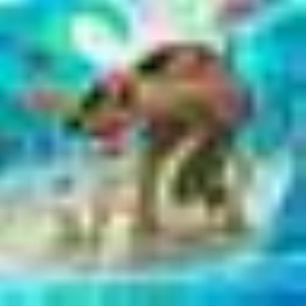 Moana (2016)