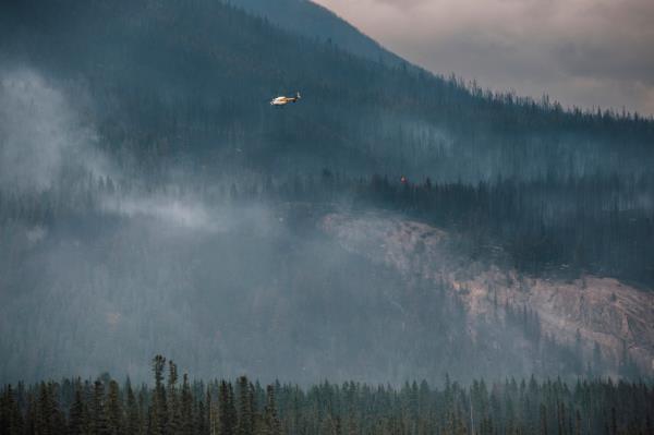 A helicopter fighting a wildfire in a forest near Jasper, Alberta, leading to evacuation of the natio<em></em>nal park