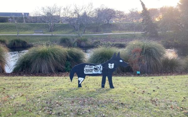 One of the wolf decoys at Christchurch Botanic Gardens being used to scare off Canada geese.