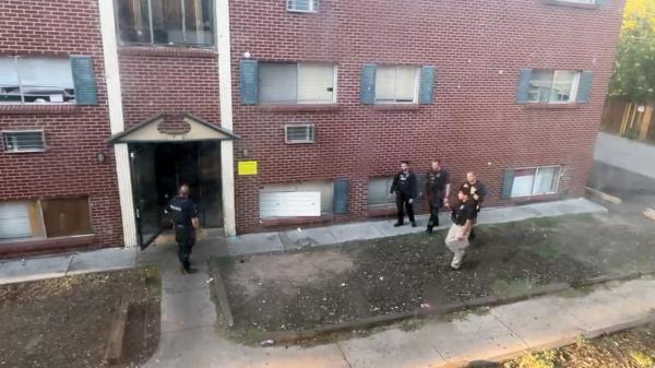 apd gang.png